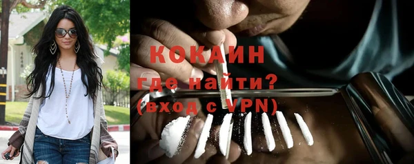 хмурый Абаза