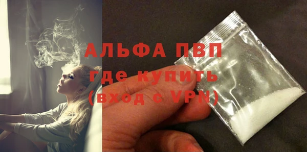 хмурый Абаза