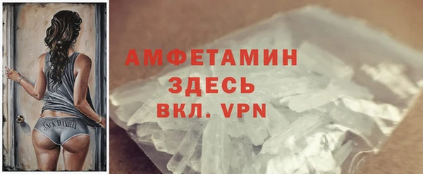хмурый Абаза