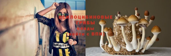 хмурый Абаза