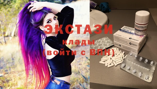 хмурый Абаза