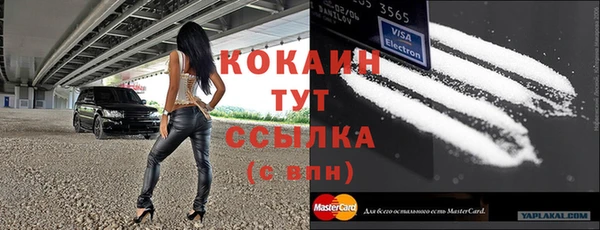 хмурый Абаза
