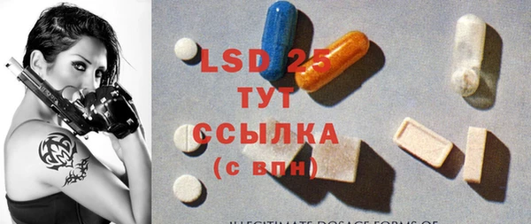 хмурый Абаза