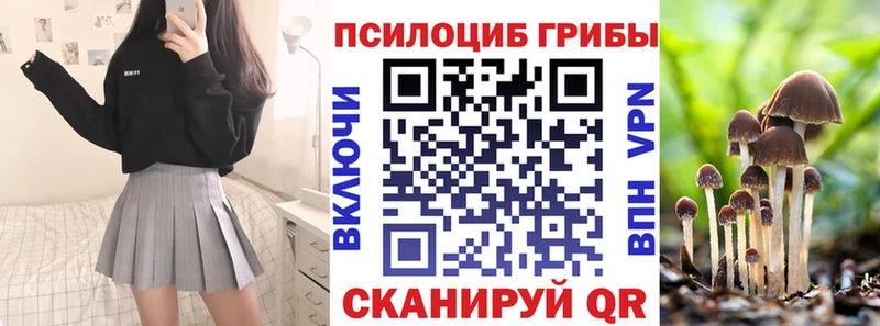 Псилоцибиновые грибы мицелий Калининград