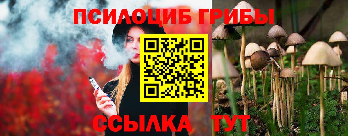 Калининград  Псилоцибиновые грибы прущие грибы  Вход с VPN  купить наркоту  Псилоцибиновые грибы прущие грибы 