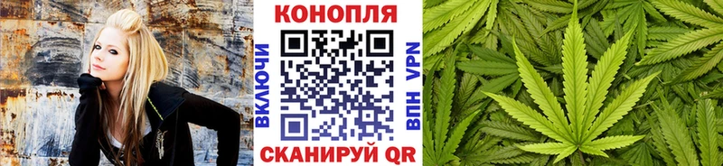 где можно купить наркотик Калининград ОМГ ОМГ ссылки Канабис VHQ